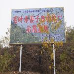 ����ľ���ӻ���ѧϰ������