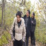 ����ľ���ӻ���ѧϰ������