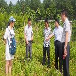 ���ϴ����ֻ���ѧϰ